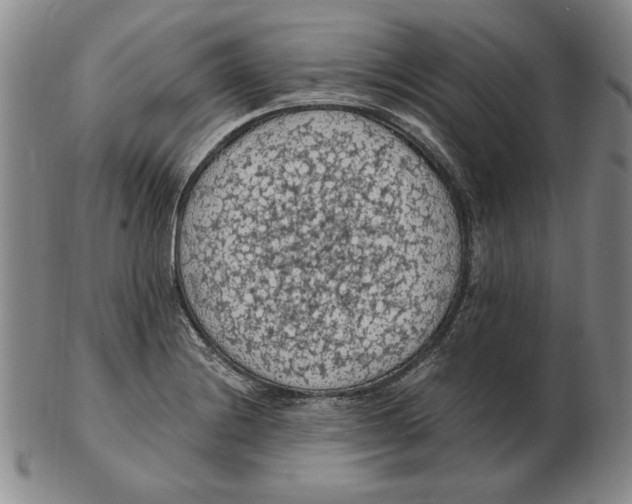 X0000103141228200809121747