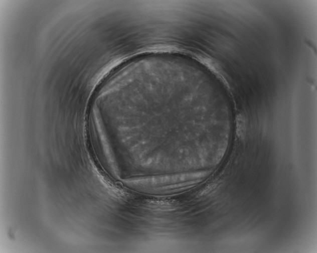 X0000103141229200809121747