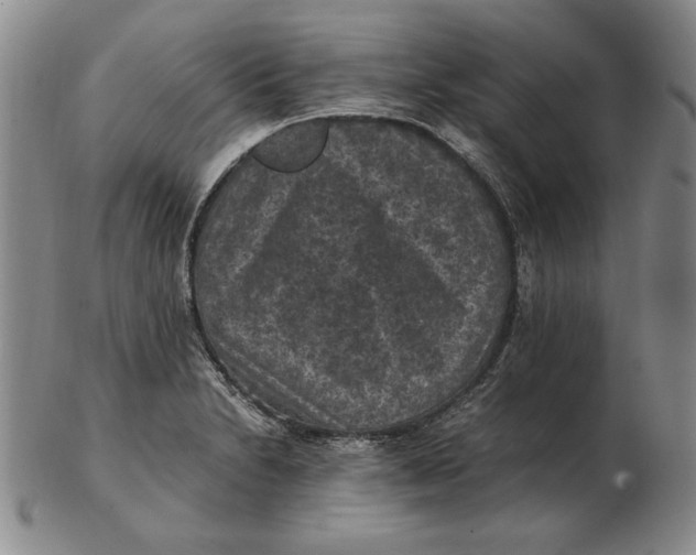 X0000103141230200809121747