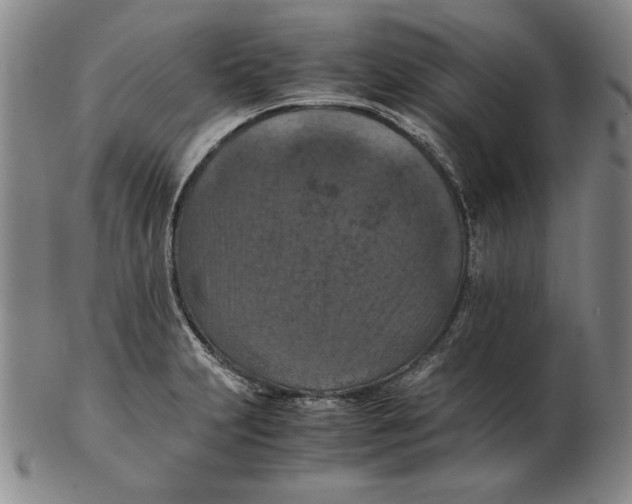 X0000103141231200809121747