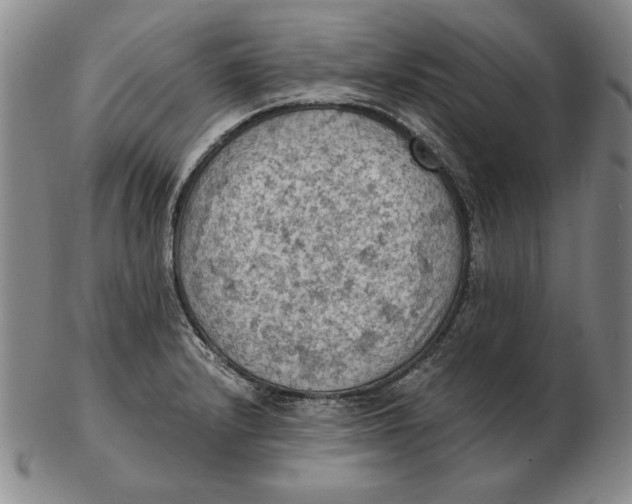 X0000103141232200809121747