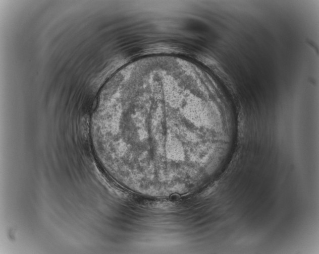 X0000103141233200809121747