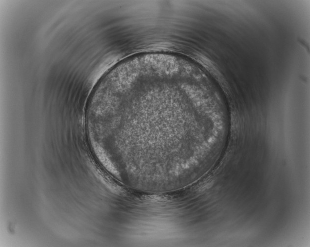 X0000103141234200809121747