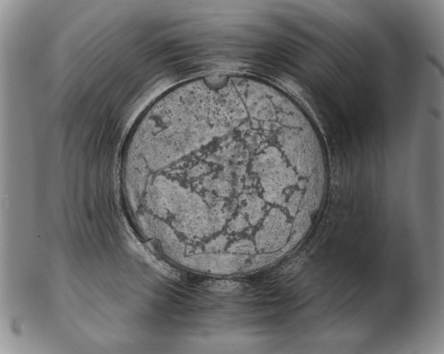 X0000103141235200809121747