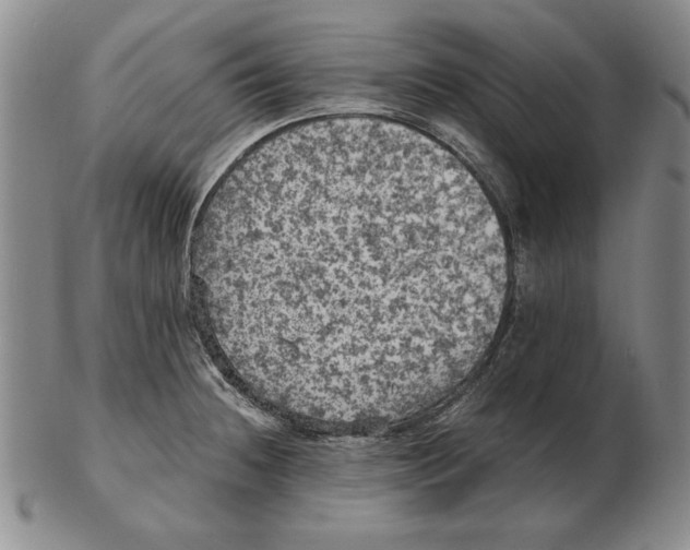 X0000103141236200809121747