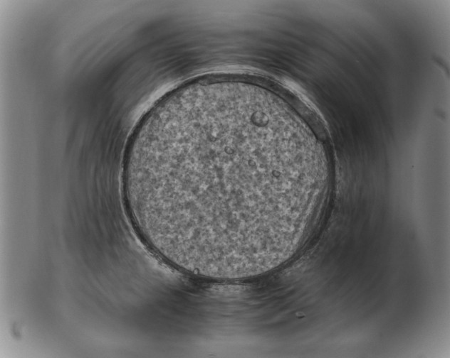 X0000103141237200809121747