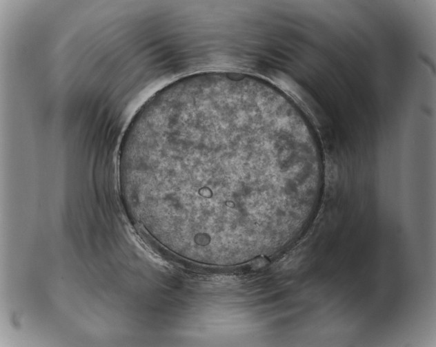 X0000103141238200809121747