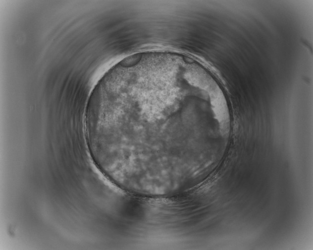 X0000103141239200809121747