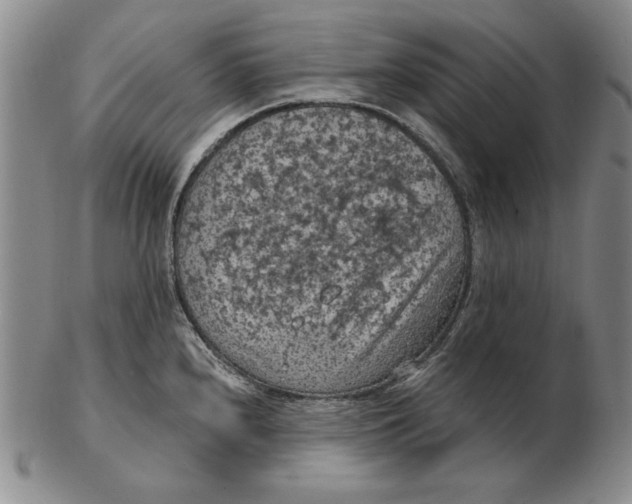 X0000103141240200809121747