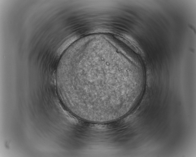 X0000103141241200809121747