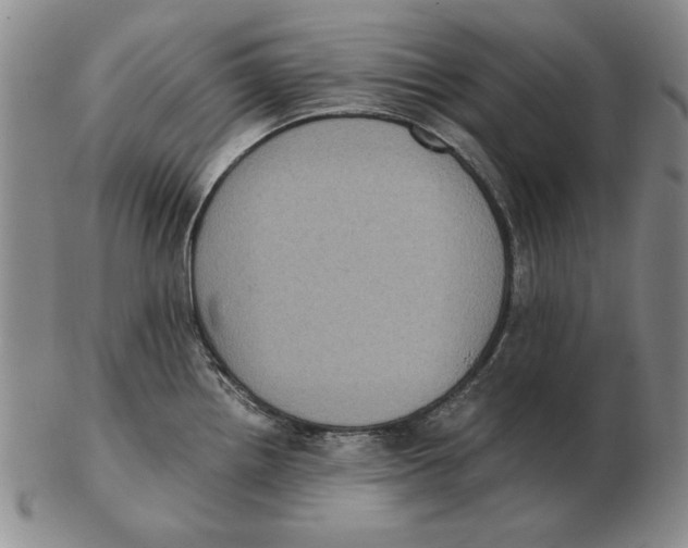 X0000103141242200809121747