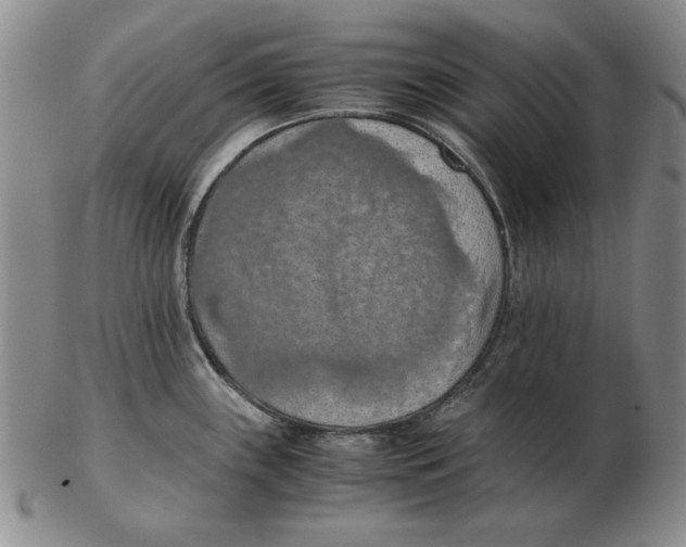 X0000103141243200809121747