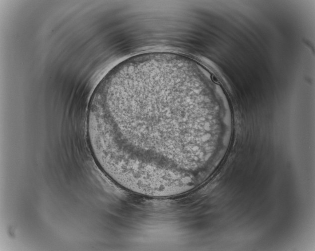 X0000103141244200809121747