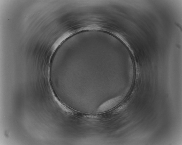 X0000103141245200809121747