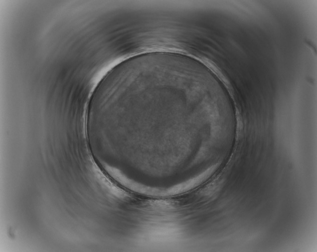 X0000103141246200809121747