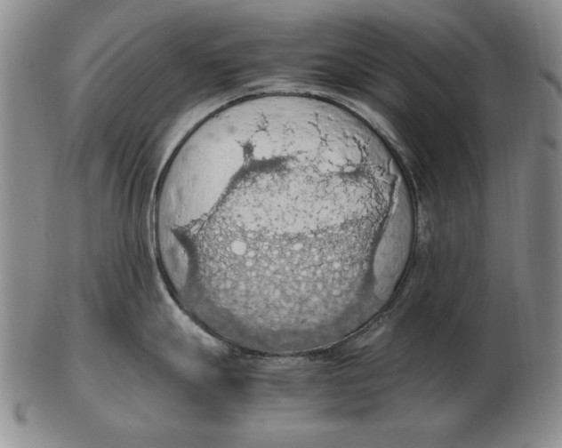 X0000103141247200809121747