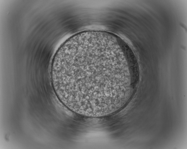 X0000103141248200809121747