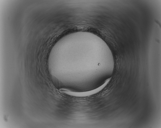 X0000103141249200809121746