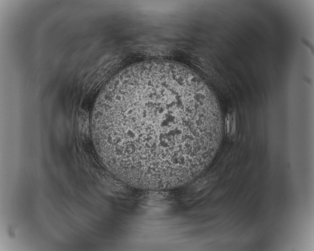 X0000103141251200809121746