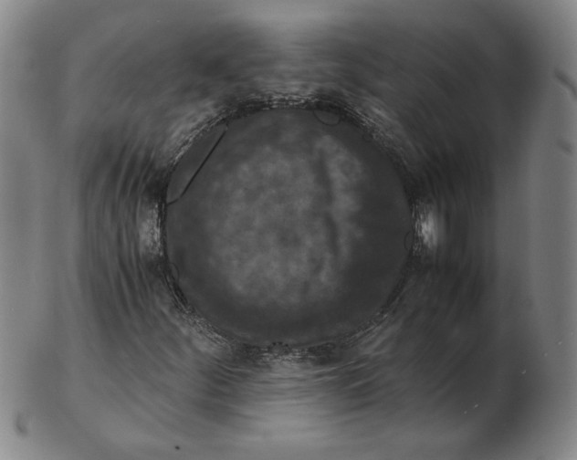 X0000103141252200809121746