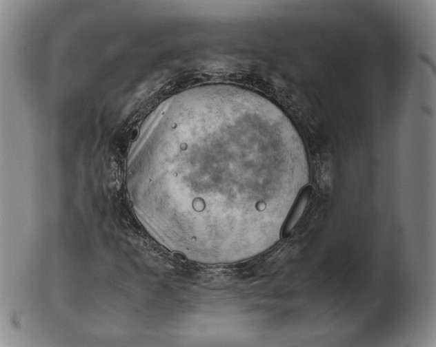 X0000103141253200809121746