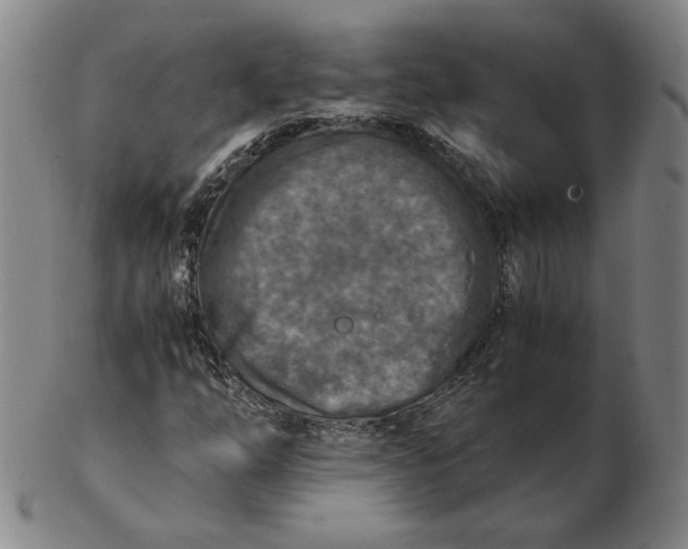 X0000103141254200809121746