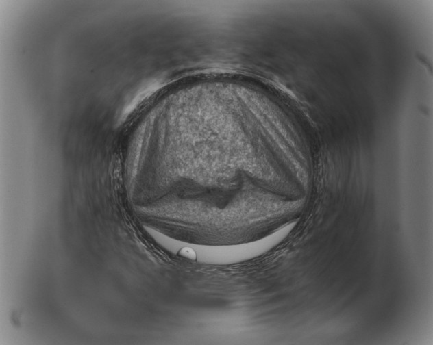 X0000103141255200809121746