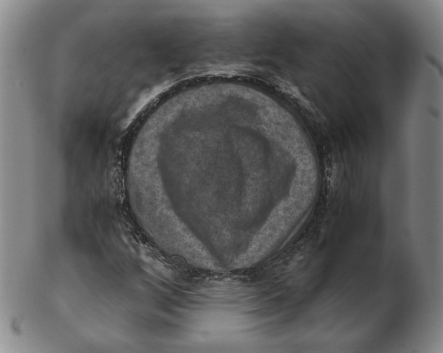 X0000103141256200809121746