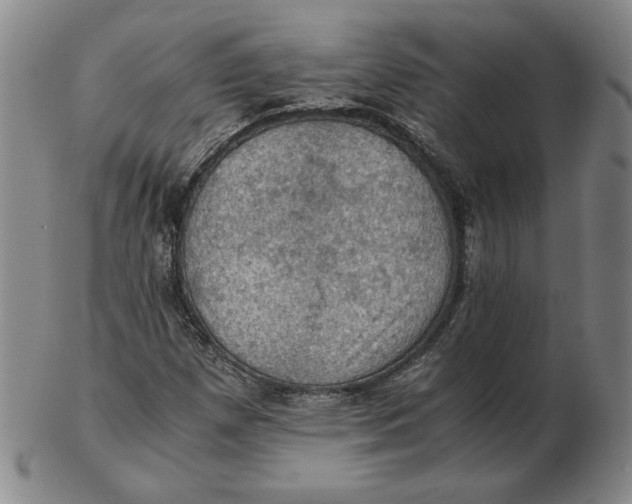 X0000103141257200809121746