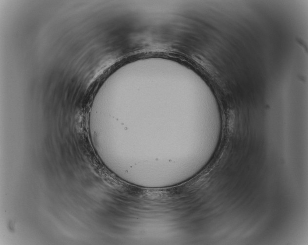 X0000103141258200809121746