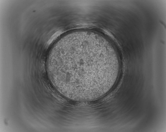 X0000103141259200809121746