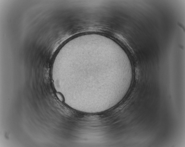 X0000103141260200809121746