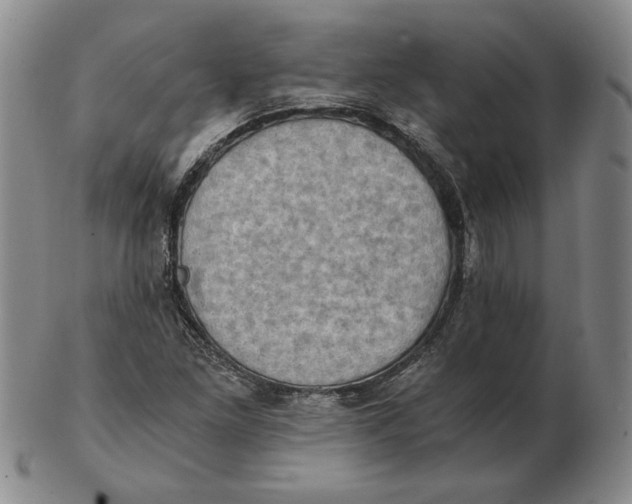 X0000103141261200809121746