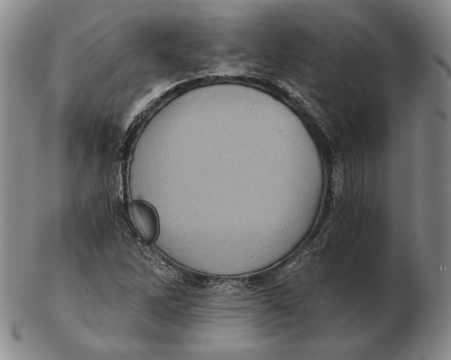 X0000103141262200809121746