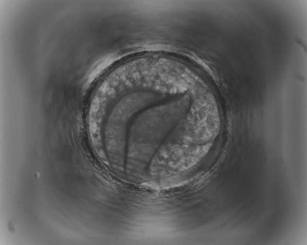 X0000103141263200809121746