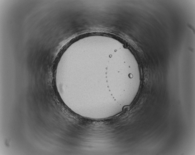 X0000103141264200809121746