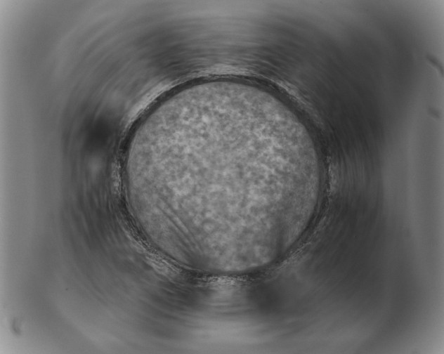 X0000103141266200809121746