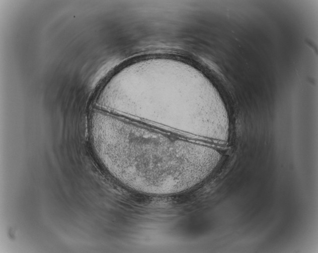 X0000103141267200809121746