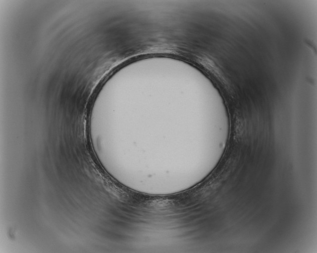 X0000103141268200809121746