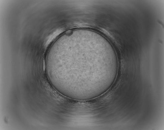 X0000103141269200809121746