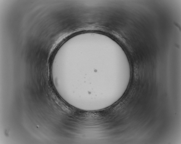 X0000103141270200809121746