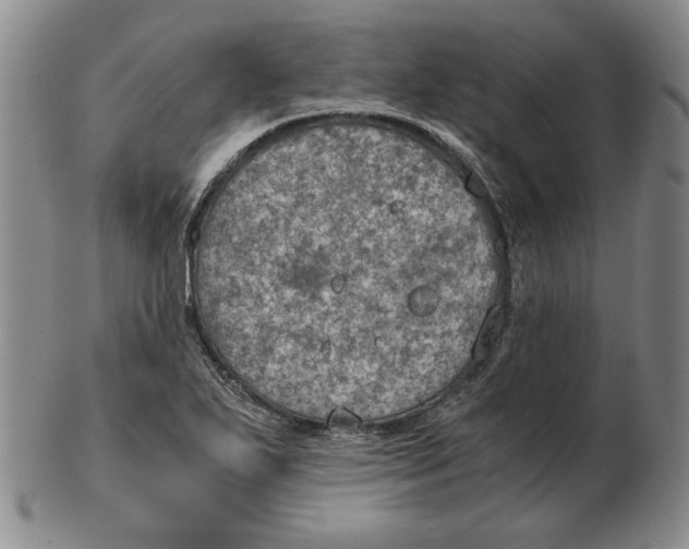 X0000103141271200809121746