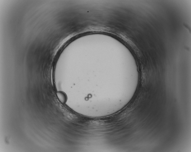 X0000103141272200809121746