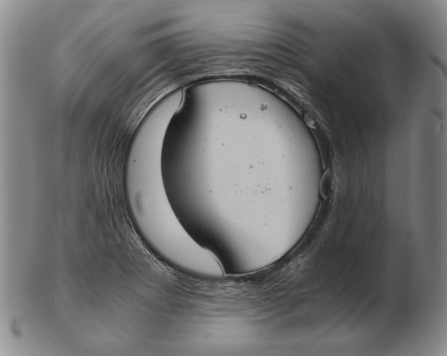 X0000103141273200809121746