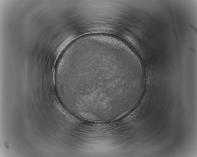 X0000103141275200809121746