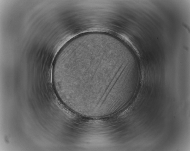 X0000103141276200809121746