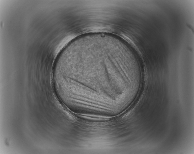 X0000103141277200809121746