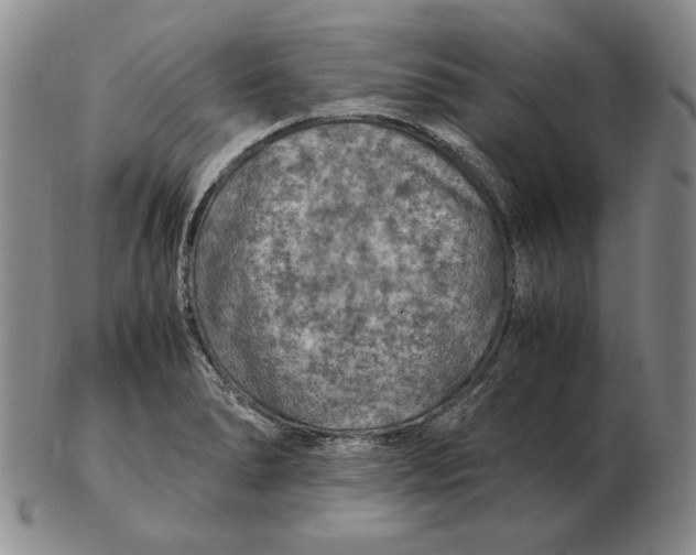 X0000103141278200809121746