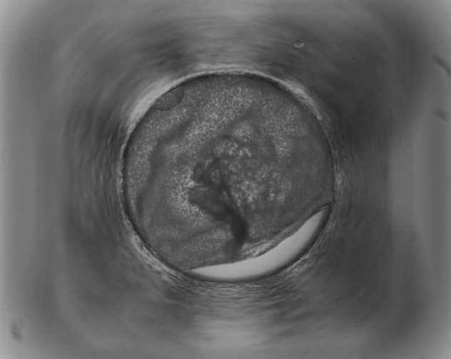 X0000103141279200809121746