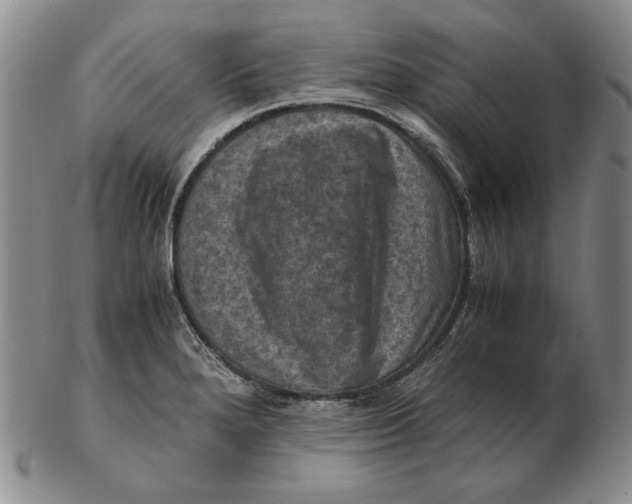 X0000103141280200809121746